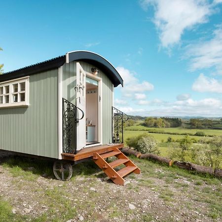 The Heron Shepherds Hut At Lyth Valley Brigsteer Exterior photo